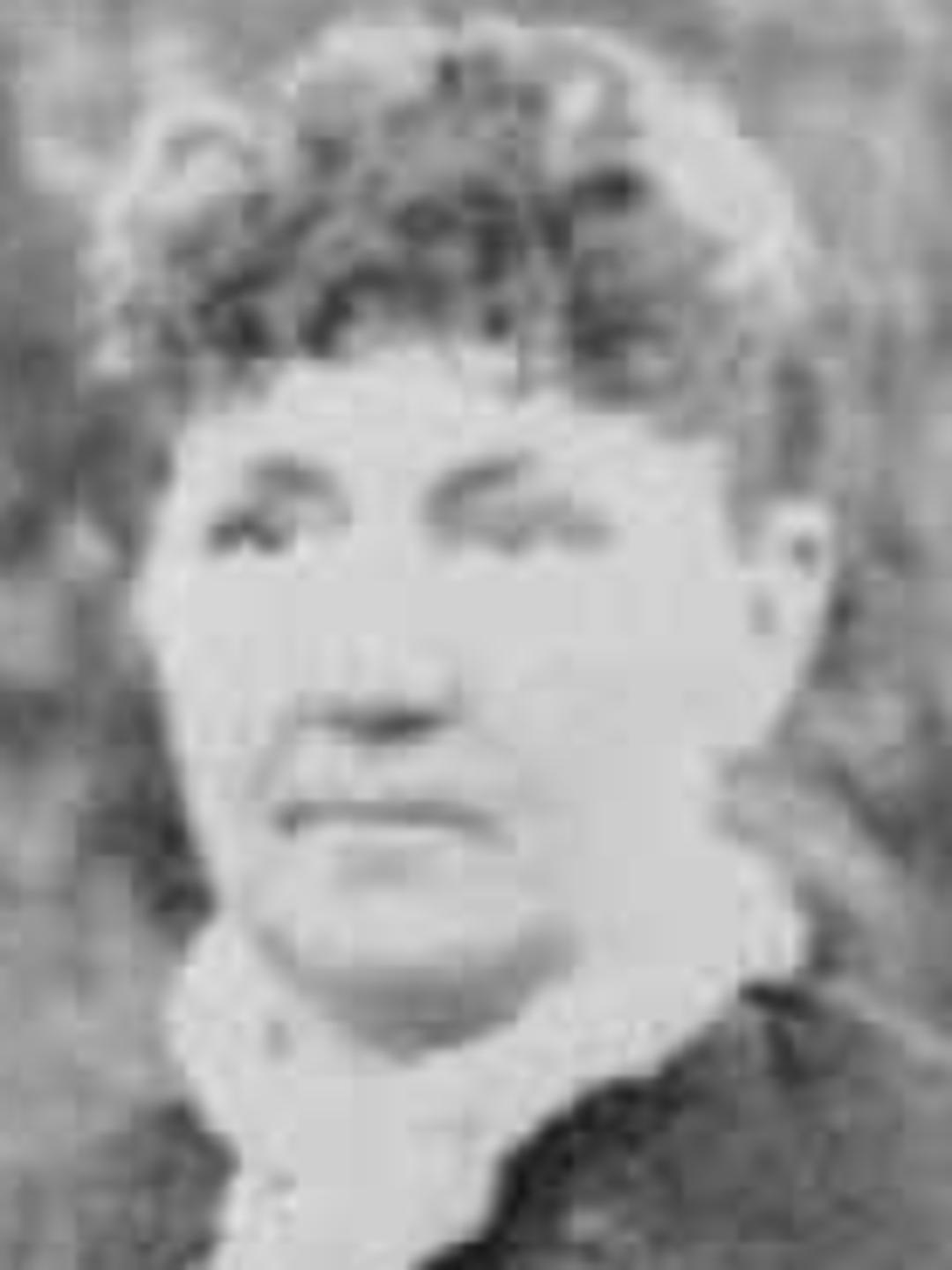 Eunice Rosetta Childs (1842 - 1917) Profile